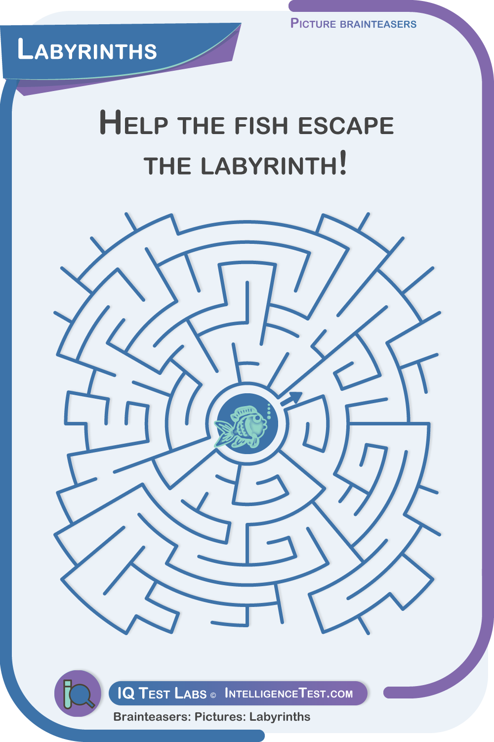 Escape the labyrinth.