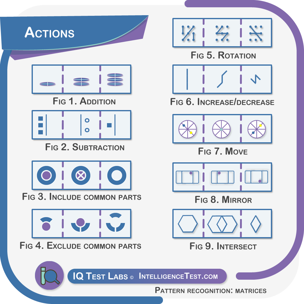 Culture-fair matrices actions