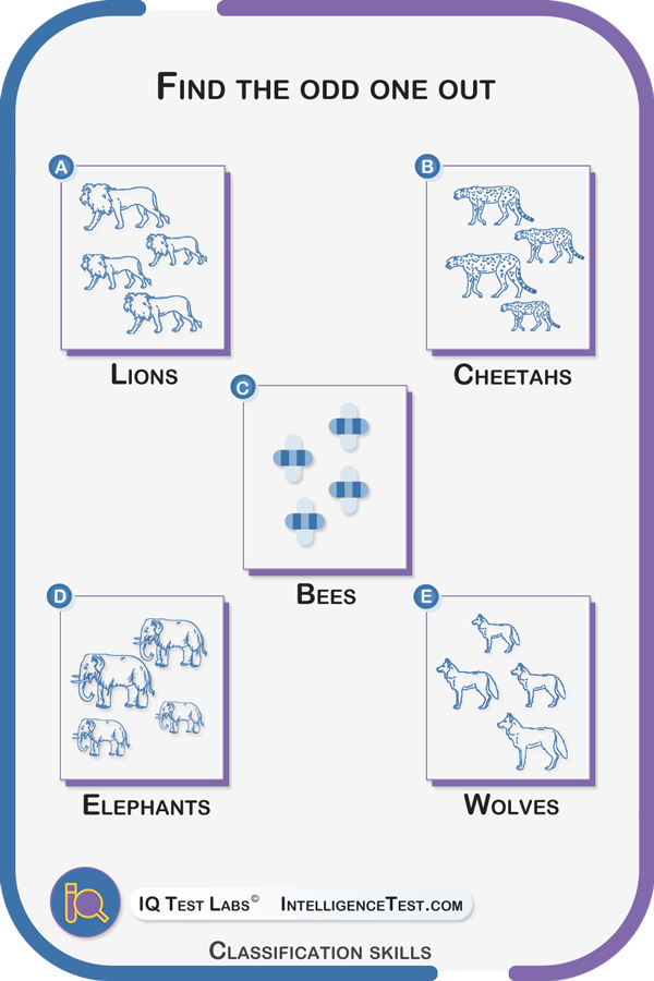 Find the odd one out: lions, cheetahs, bees, elephants, wolves.