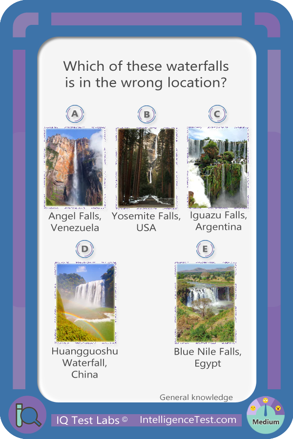 Which of these waterfalls is in the wrong location? A)Angel Falls, Venezuela, B)Yosemite Falls, USA, C)Iguazu Falls, Argentina, D)Huangguoshu Waterfall, China, E)Blue Nile Falls, Egypt