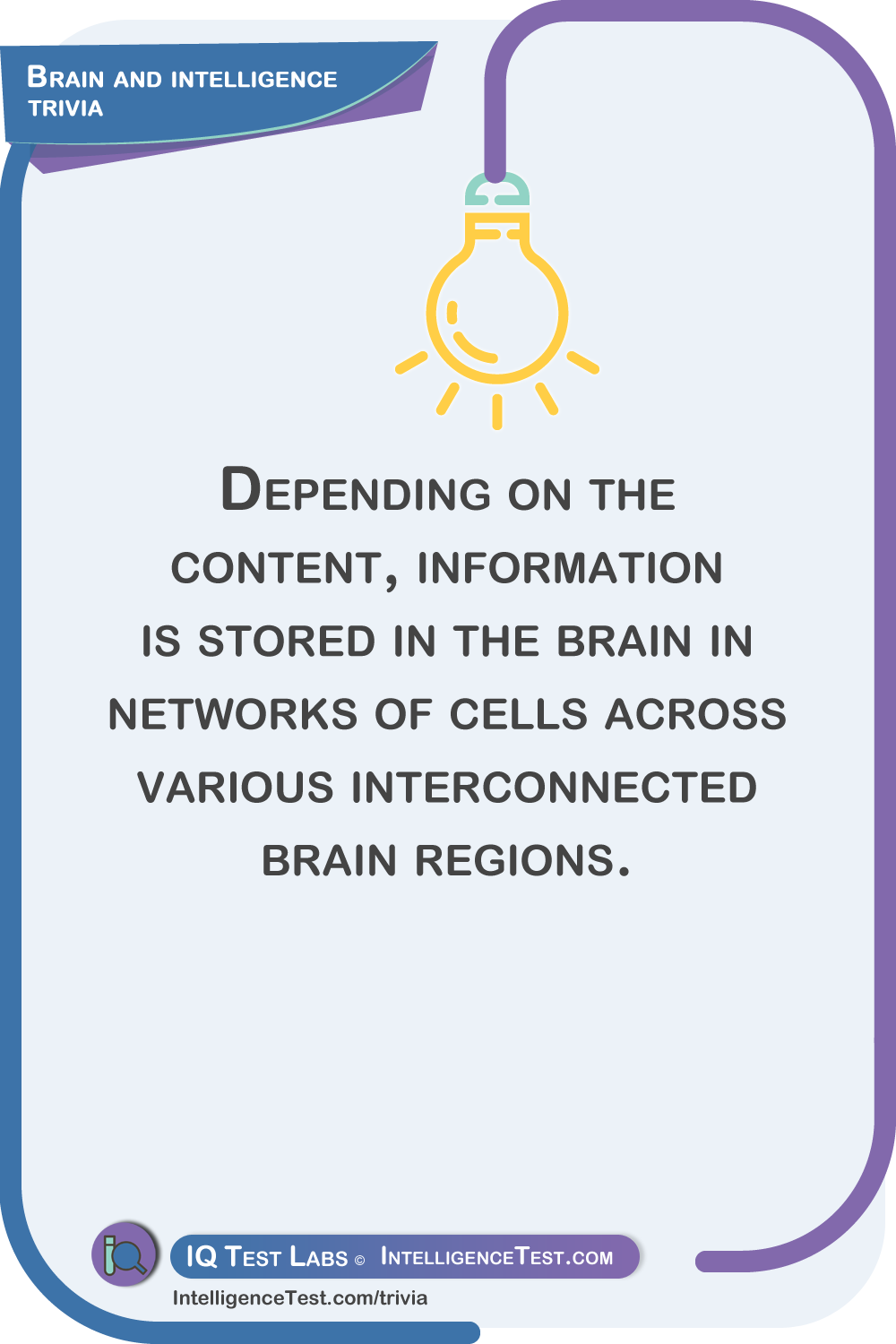 Depending on the content, information is stored in the brain in networks of cells across various interconnected brain regions.
