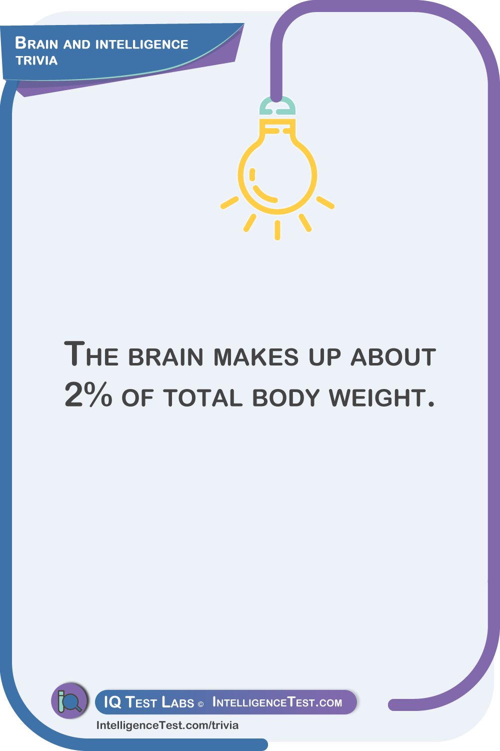 The brain makes up about 2% of total body weight.