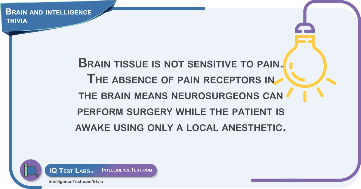 Brain tissue.