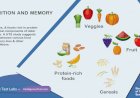 Nutrition and memory