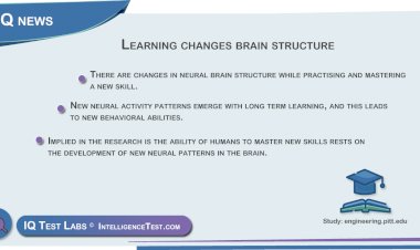 Learning changes brain structure